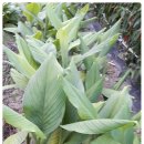 당산농장 이미지