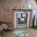 나비 불한증막 이미지