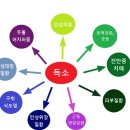 한미르지남한의원 이미지