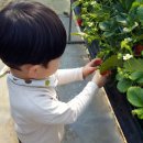 검은들농장 이미지