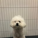 몽이미용실 이미지
