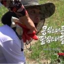 장안의화제