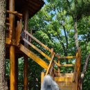 불곡초등학교 | 한국의 산 #79 경기도 성남시 불곡산(335m) 봄