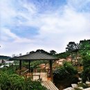 고향삼계탕 이미지