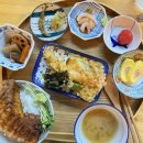 삼척 3주 살기 | 해바라기식당 | 명가왕족발삼척점 | 삼척 교동 맛집