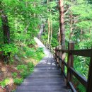 신선계곡 이미지