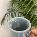 숨달달