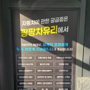 팡팡차유리