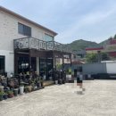 박경리메밀향 이미지