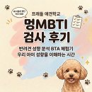 따라 애견학교 | 반려견 행동 성향 멍MBTI프래들 애견학교후기