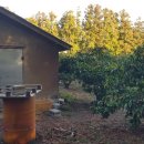 상효동-2 이미지