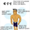 체질 별 특징,체질,음식/태양인 이미지