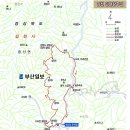 제98차 하태도(下苔島 ; 전남 신안) - 2020.5.23-5.24 이미지