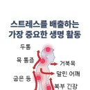 보니또스킨&바디 네이버블로그