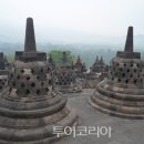 레포츠코리아 이미지