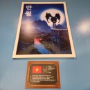 대구동성로호스텔 | 대구 동성로 지구별 방탈출 꽃길 만월 후기 영업용 추천 활동성 _87