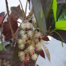 성베드로한방병원 이미지