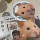 쏘유노 | 정서불안 김햄찌 팝업스토어 방문 후기