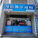 개미세탁소 이미지