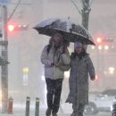 Koreans’ love-hate relationship with ‘first snow’ 한국인의 '첫눈'에 대한 애증관계 이미지