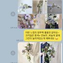 꽃the함