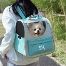 세탁을함께하는사람들 이미지