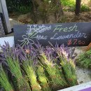 상이농장 이미지