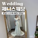 일산스드메 파주 제니스웨딩 드레스 피팅 후기 웨딩 토탈샵 패키지