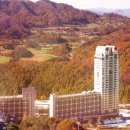 휘닉스골프연습장 이미지