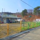 동설악공인중개사사무소 | 양양군 주청리 주택 및 토지매매 #양양군강현면주택 #양양군강현면토지
