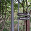 백화산입구(삭선리) 이미지