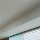 파라시오갤러리 이미지