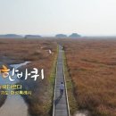 발안시장 이미지