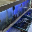 회먹다 | 여수 문수동 회먹다 방문 솔직 후기✨ 신선함이 살아있는 한상차림🐟🍶