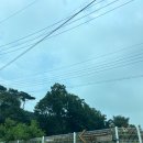 GS25 김포하성점 이미지