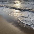 유가네칼국수 이미지