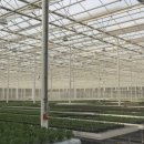 팜솔루션 이미지