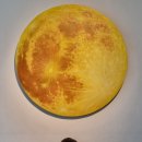 꼼지락발전소 이미지