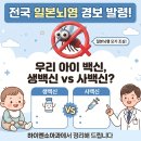 위례 하남 성남소아과 일본뇌염 경보 발령! 우리 아이 예방접종 생백신 vs 사백신 비교