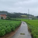 하만농장 이미지