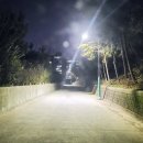 대암산 등산로 입구 이미지