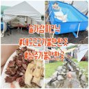 11650-16-28-12 | [대구근교가볼만한곳] 성주 솔가람피크닉 방문후기 👶🏻❤️