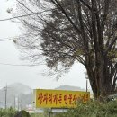 장자터 | [금산/추부면 맛집] 금산 장어 맛집 장자터가든 (금산 분위기 좋은 장어 구이 맛집 국립금산자연휴양림...