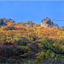 구봉산 티스토리