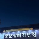 통영 뚱보할매김밥집, 충무김밥 원조집 중앙시장 맛집 후기