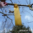 청도용암온천 이미지