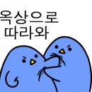 라비드헤어 이미지