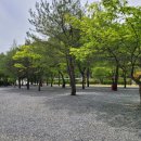 청산 캠프 이미지