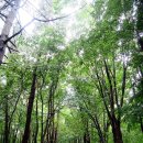 나리 야영장 옆 이미지