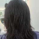 이끌린헤어살롱 네이버블로그